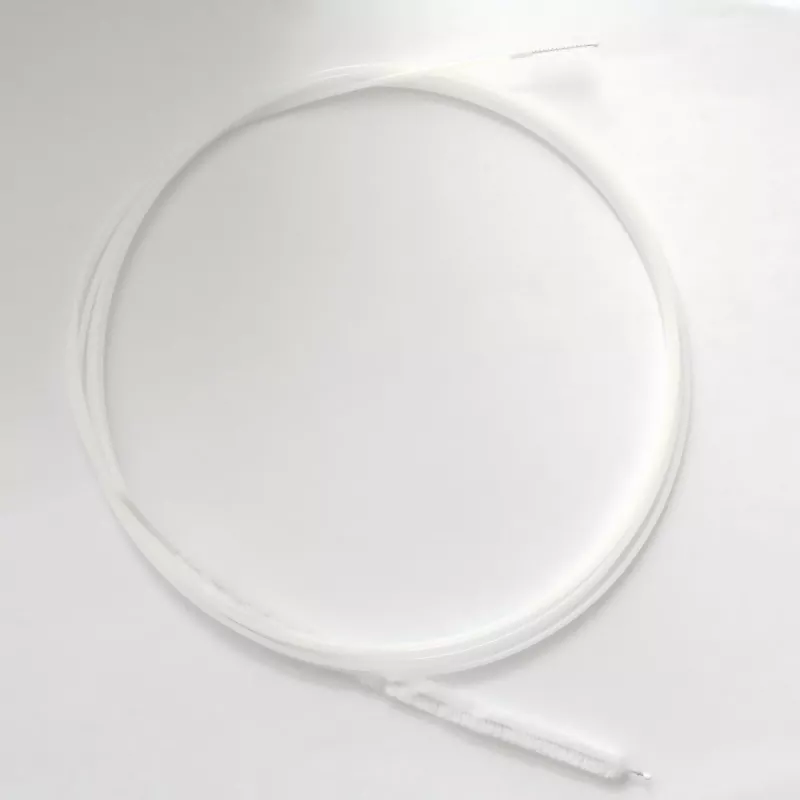 Duodenale endoscopische borstel